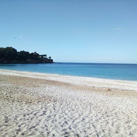 Jiulia'S House Apartament Castellammare del Golfo Zewnętrze zdjęcie