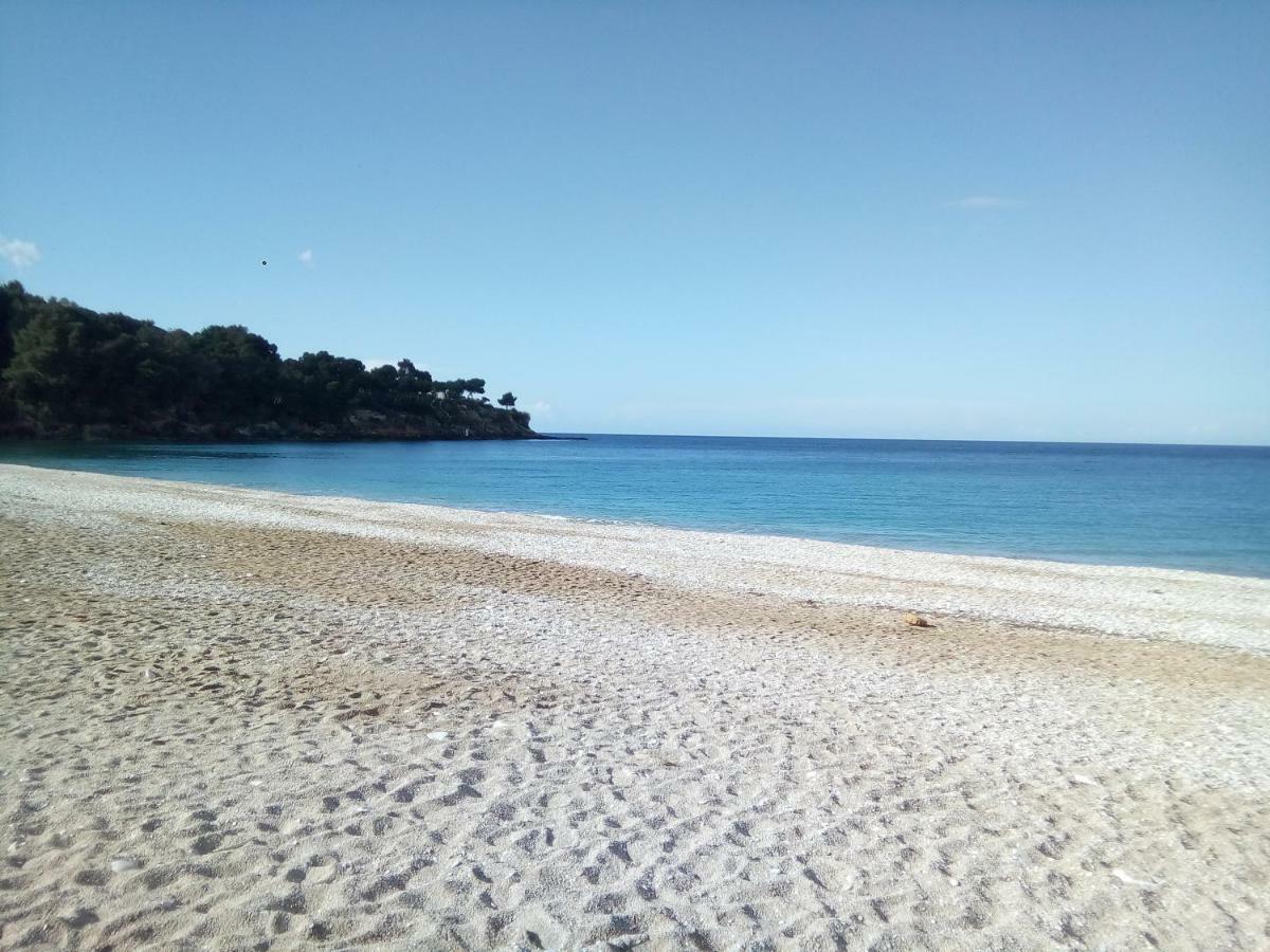Jiulia'S House Apartament Castellammare del Golfo Zewnętrze zdjęcie
